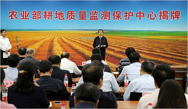 久久精品国产亚洲āv电影