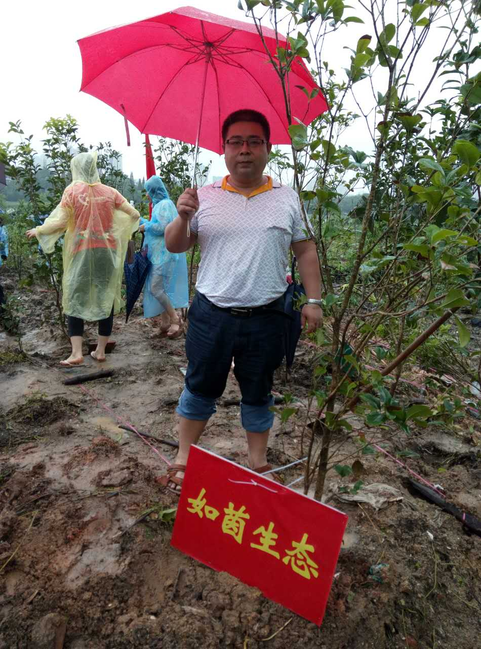 久久精品国产亚洲āv电影