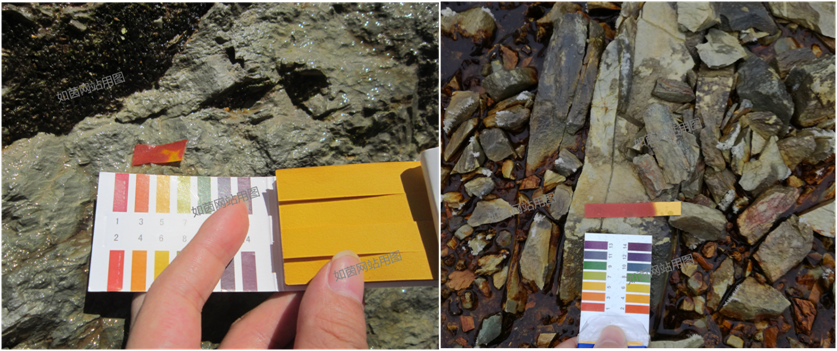 久久精品国产亚洲āv电影