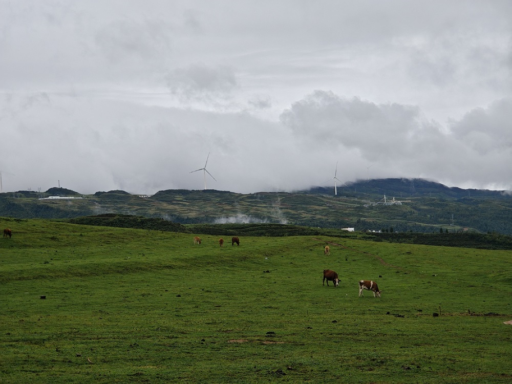久久精品国产亚洲āv电影